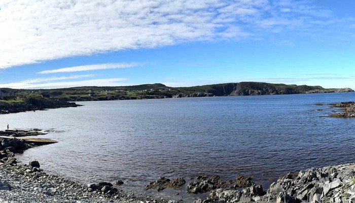Sealers Memorial -  Memorial - Elliston