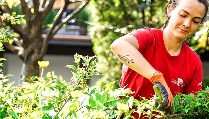 Services Paysagers Dominique Filion -  Landscape Architect - Saint-basile-le-grand