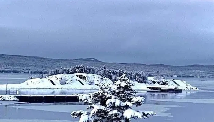 Spa by the Bay - Botwood