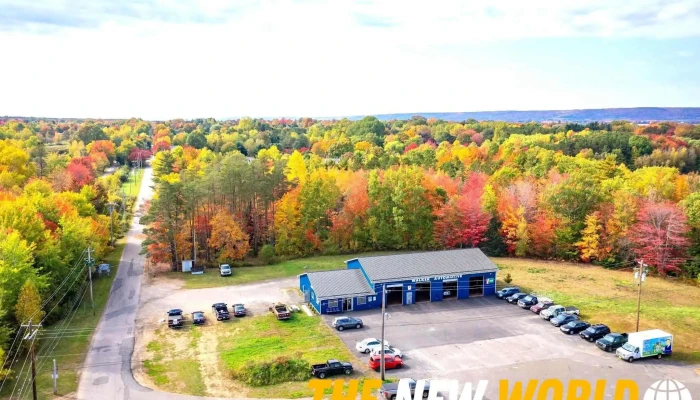 Steven Walker Automotive Services -  By Owner - Berwick