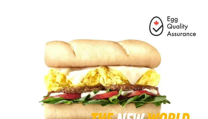 Subway -  By Owner - Biggar