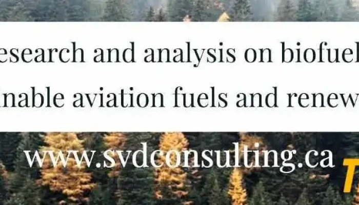 Svd Consulting - Canada