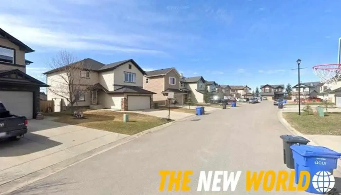 Synscape Solutions - Chestermere