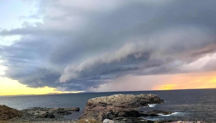 The Edge -  All - Bonavista