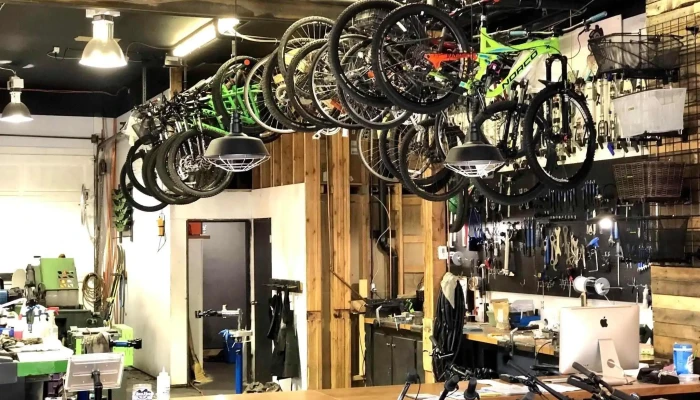 The Tune Shop -  By Owner - Banff