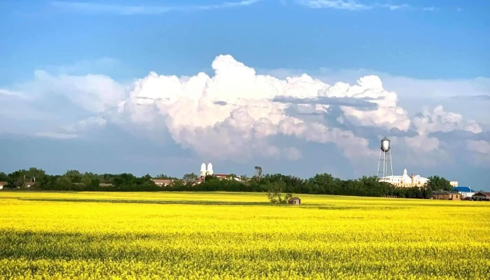 Town Of Gravelbourg - Gravelbourg