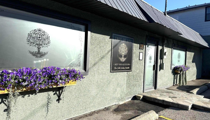 Tree Of Life Hot Yoga Eco Spa All - Bancroft