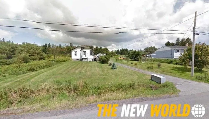 TreeScapes - Cow Bay
