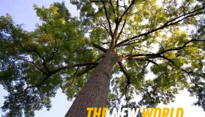 Trilogy Tree Services Ltd. - Canada
