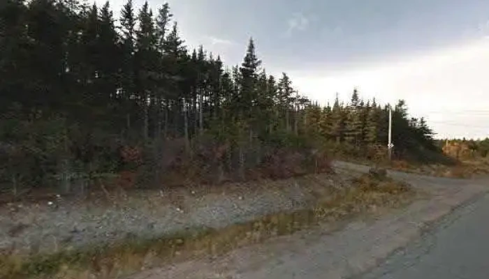 Vista Safety Training -  All - Bonavista