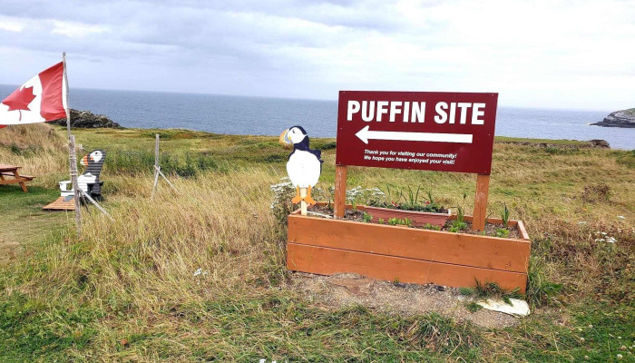 W Harris Surveys Ltd -  All - Bonavista