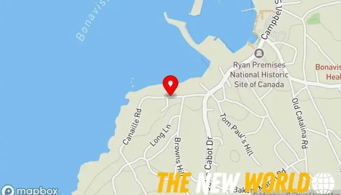 map of W Harris Surveys Ltd Land surveyor in Bonavista