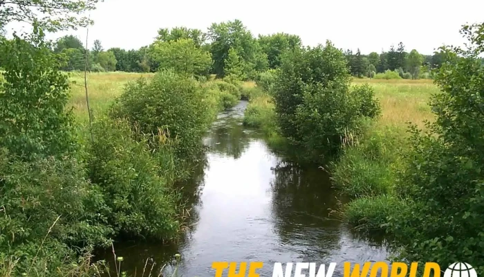 Water's Edge Environmental Solutions Team Ltd. - Cambridge