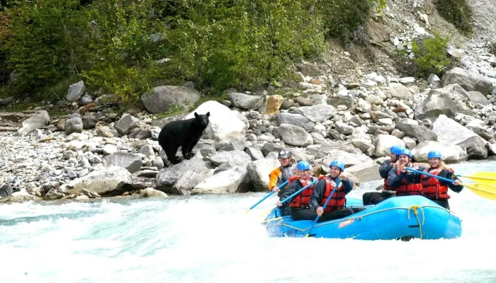 Wet N' Wild Rafting Adventures - Golden