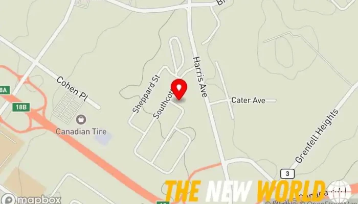map of WIS International Business management consultant in Grand Falls-Windsor